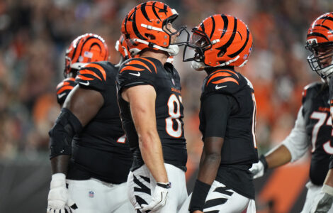 40-year-old journeyman QB Josh Johnson leads Bengals to 27-9 preseason victory over Bears